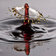 Illustration for article titled Shooting Challenge: Water Drop Gallery Part 2